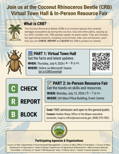 County to hold sessions on coconut rhinoceros beetle